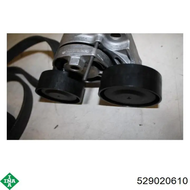 Comprar 11282365964 BMW Correa de transmisión