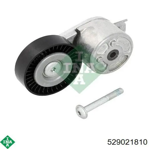 Correa de transmisión, juego INA 529021810 precio, desde 95,92 EUR
