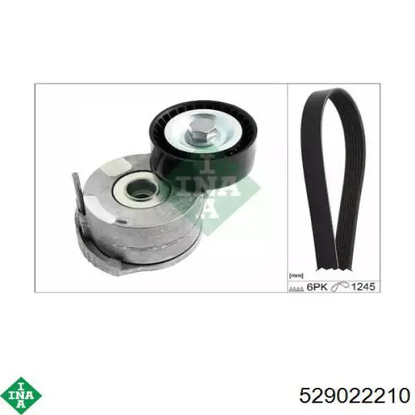 Correa de transmisión para Ford Kuga CBS