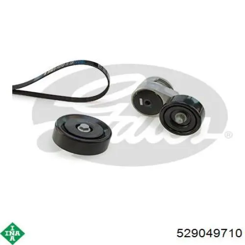 Correa de transmisión, completo INA 529049710 precio, desde 130,03 EUR