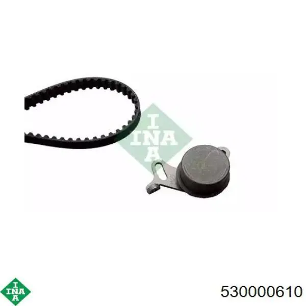 Kit de distribución 530000610 INA