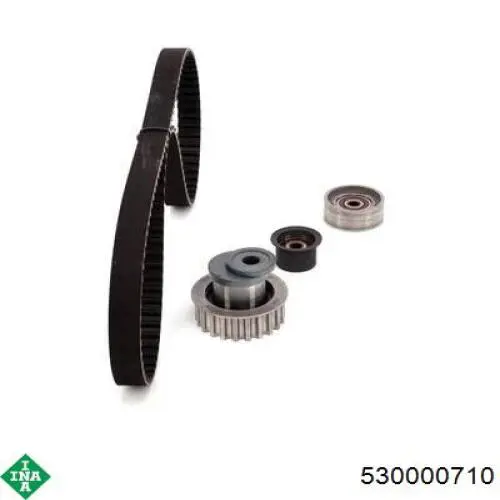Kit distribución INA 530000710