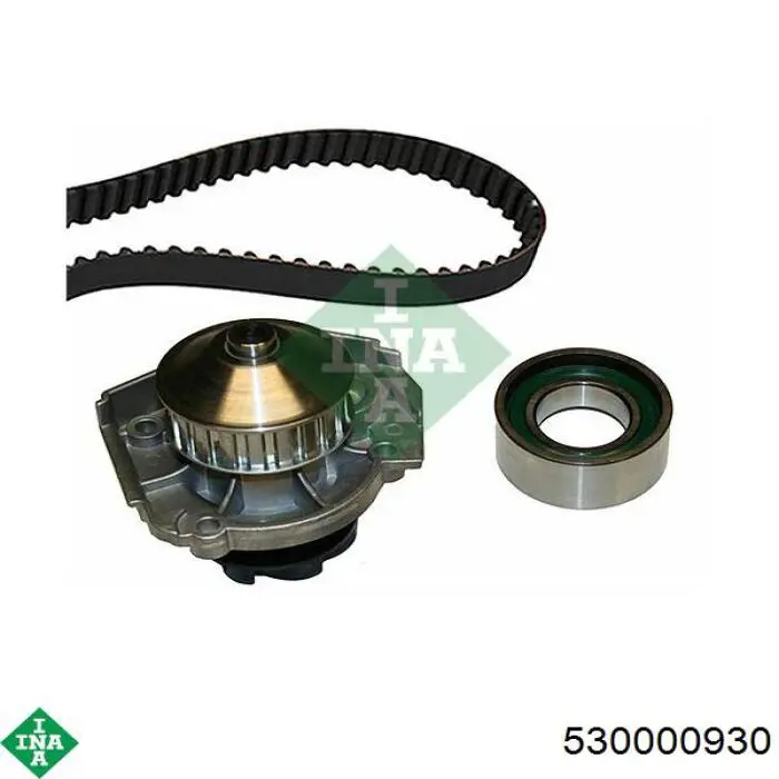 Comprar CT973WP1 Continental/Siemens Kit de correa de distribución