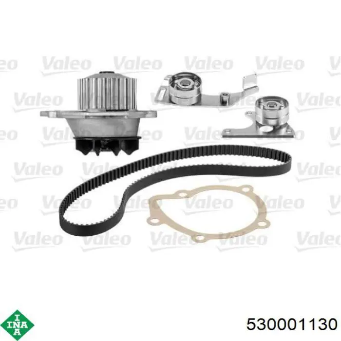 Kit de distribución 530001130 INA