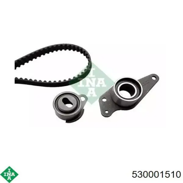 Kit de distribución 530001510 INA