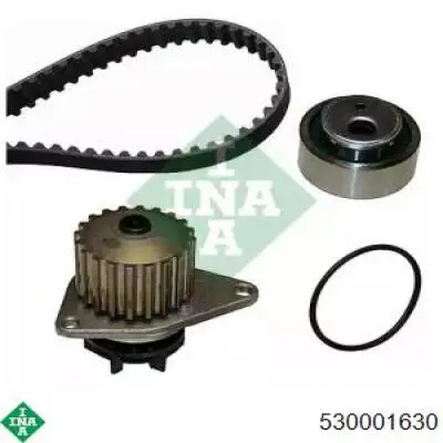 Kit distribución INA 530001630