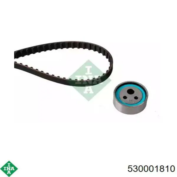 Comprar 530001810 INA Kit de correa de distribución