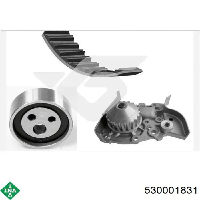 CT709WP2 Continental/Siemens Kit correa de distribución