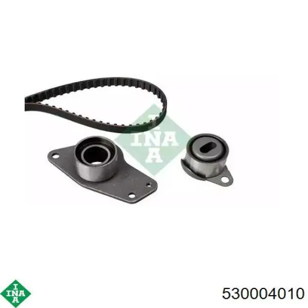 Kit de distribución 530004010 INA