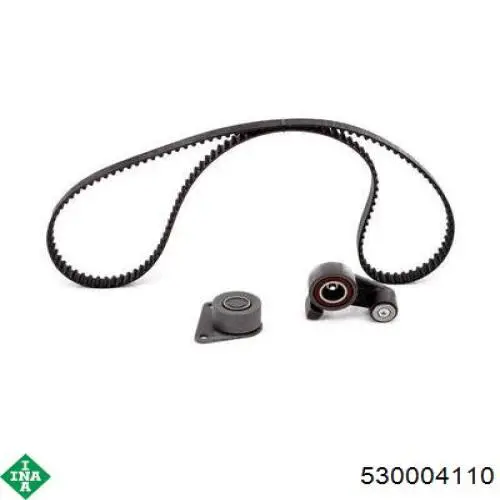 530004110 INA Kit correa de distribución