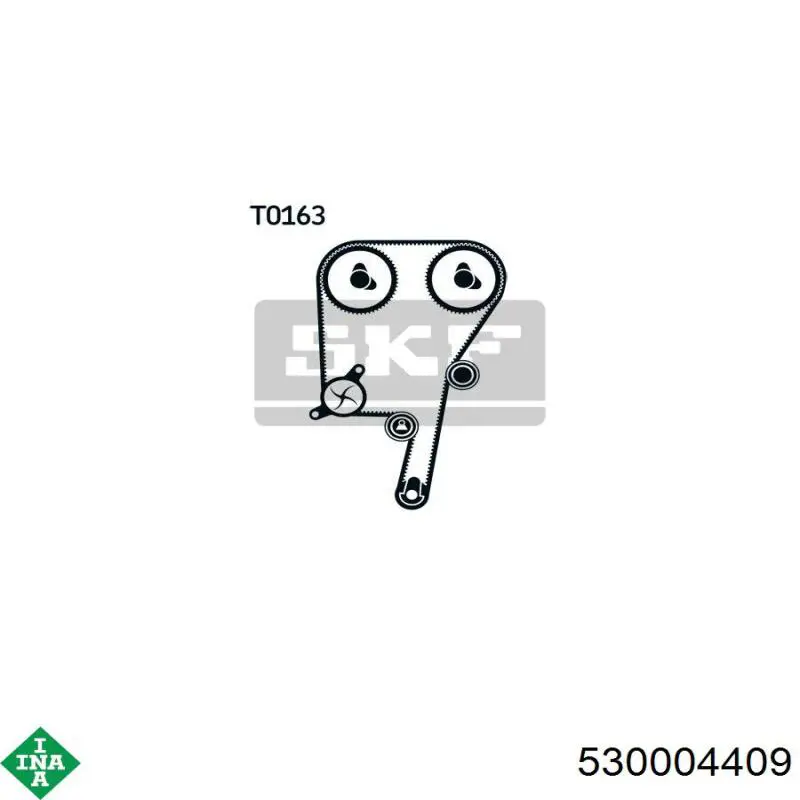 530004409 INA Kit correa de distribución