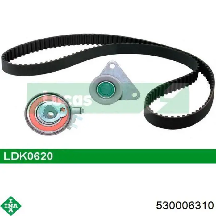 Comprar 530006310 INA Kit de correa de distribución