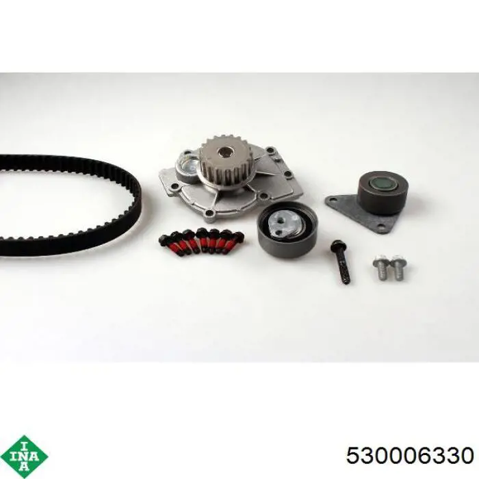 Kit de distribución 530006330 INA