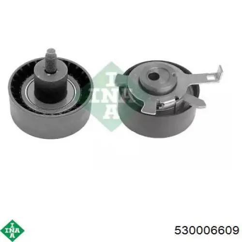 Kit de distribución 530006609 INA