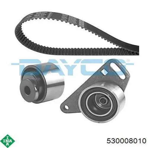530008010 INA Kit correa de distribución