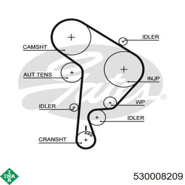 530008209 INA kit correa de distribución