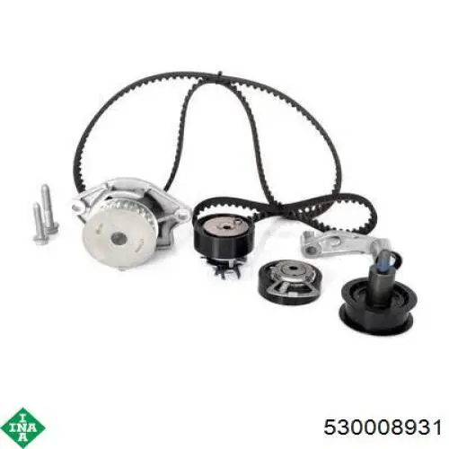 Kit de distribución 530008931 INA