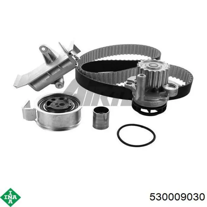Kit de distribución 530009030 INA