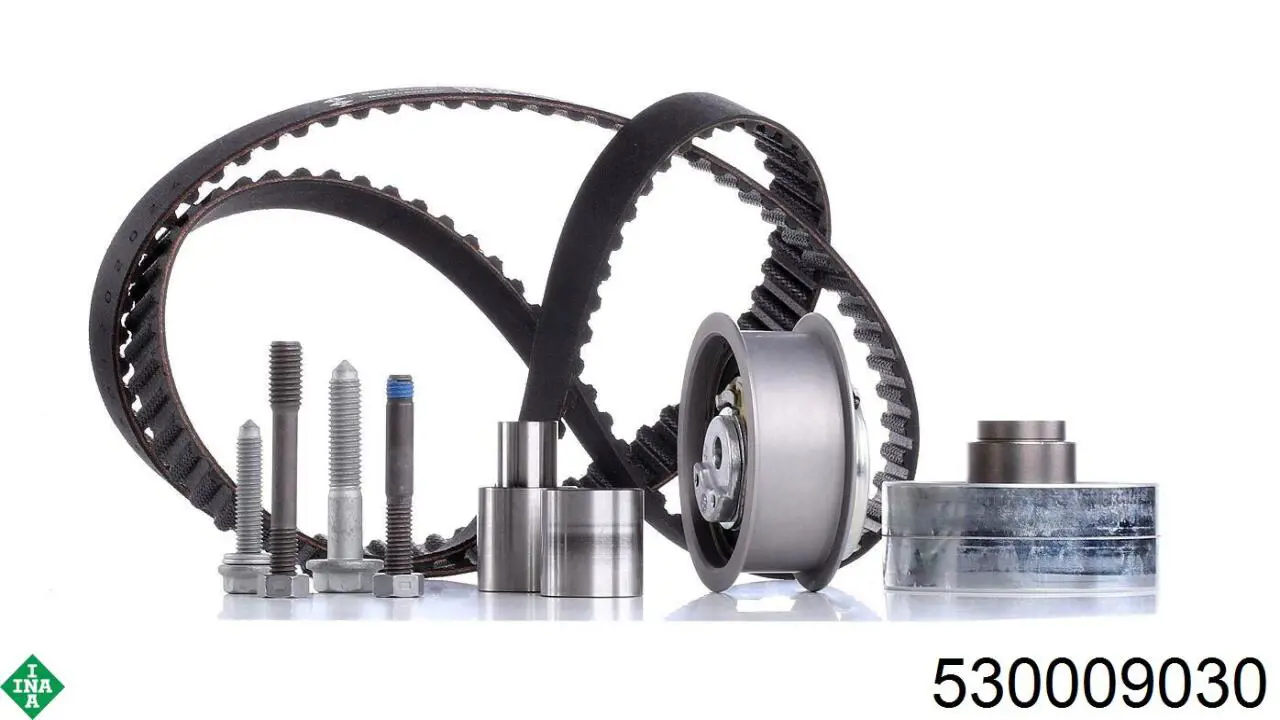Juego de correas dentadas INA 530009030 precio, desde 416,47 EUR