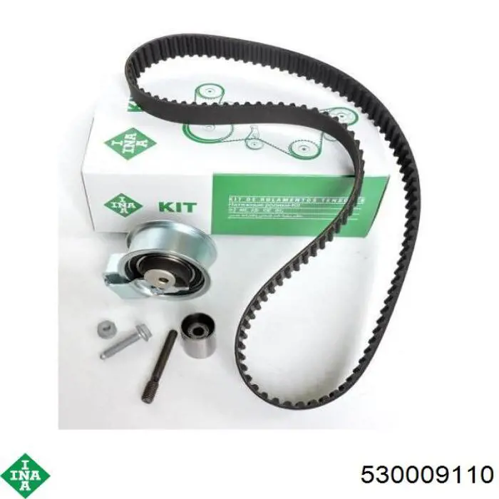 Comprar 530009110 INA Kit de correa de distribución