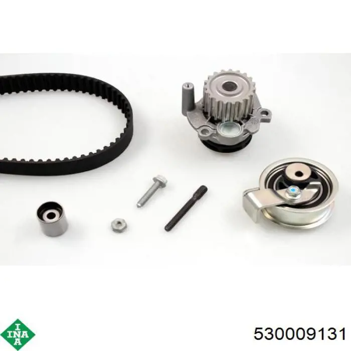 Kit de distribución 530009131 INA