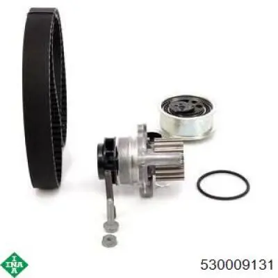Kit distribución INA 530009131