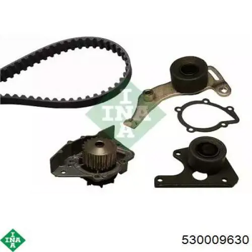 Comprar 530009630 INA Kit de correa de distribución
