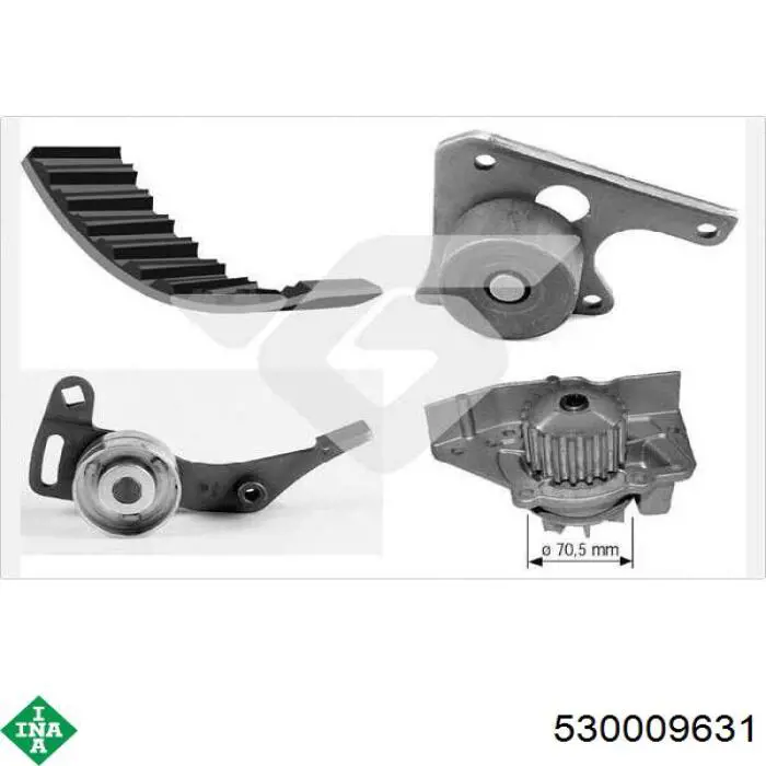 Juego de correas dentadas INA 530009631 precio, desde 236,65 EUR
