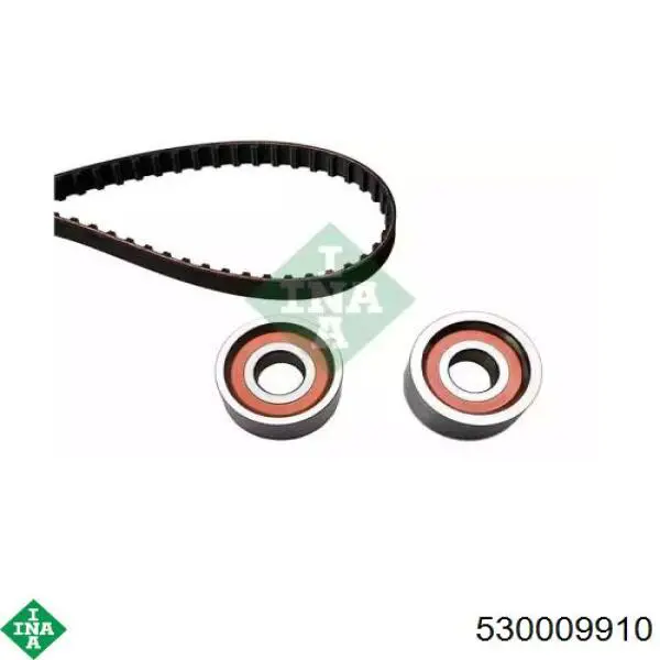 Comprar 530009910 INA Kit de correa de distribución