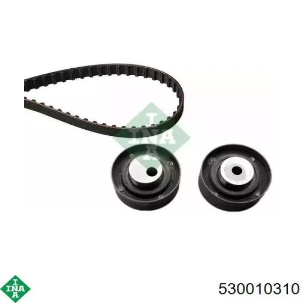 Comprar 530010310 INA Kit de correa de distribución