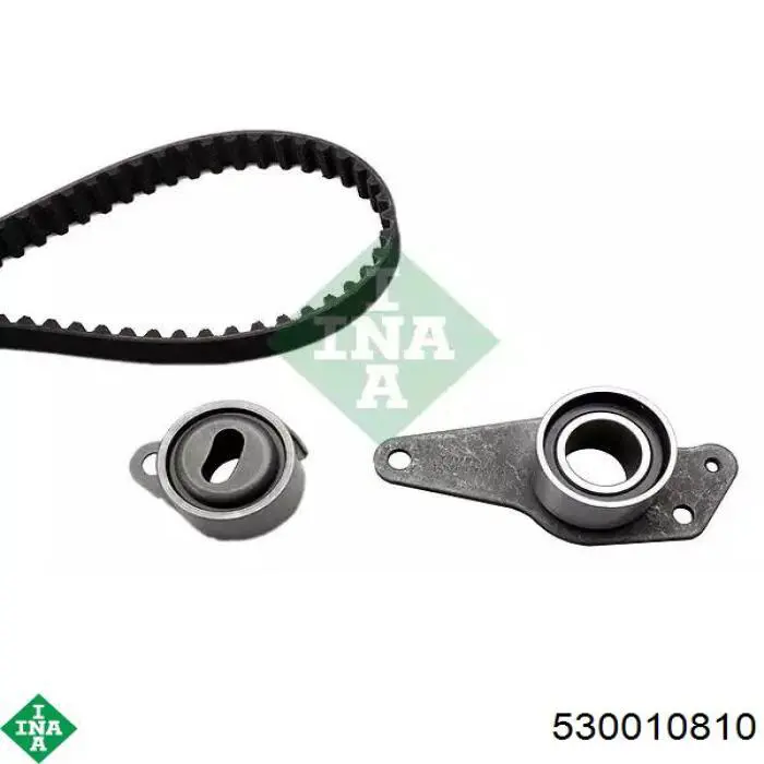 Comprar 530010810 INA Kit de correa de distribución