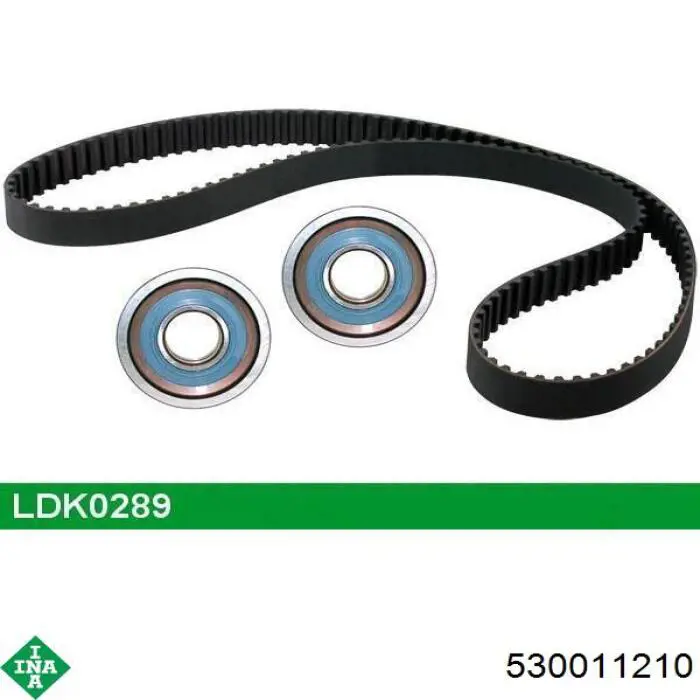 Kit de distribución 530011210 INA