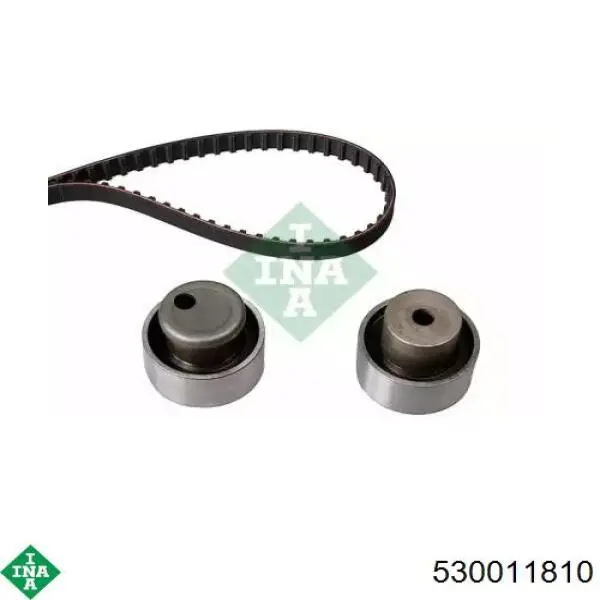 Comprar 530011810 INA Kit de correa de distribución