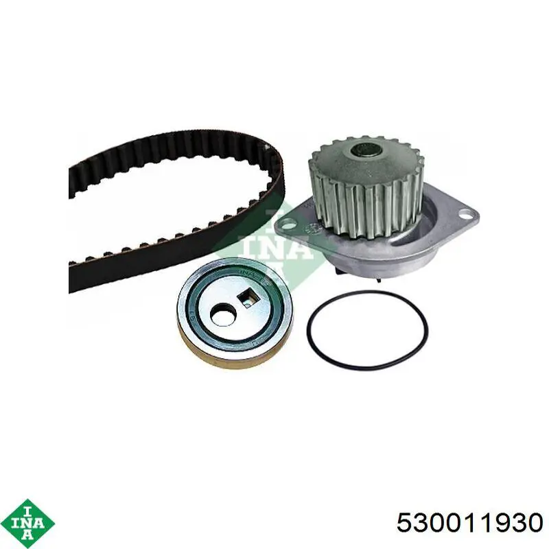 530011930 INA Kit correa de distribución