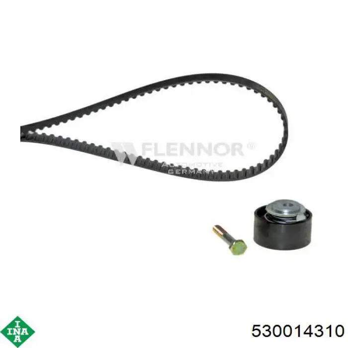 Kit de distribución 530014310 INA