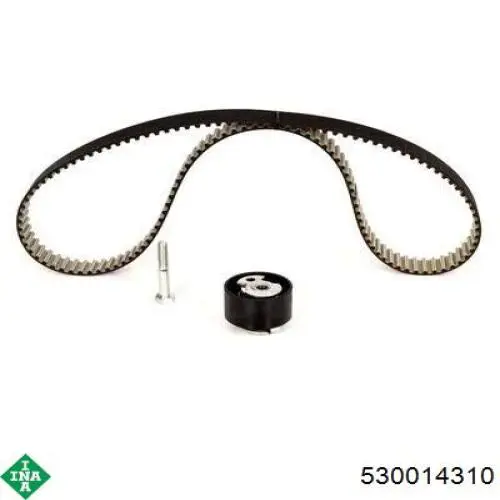 Juego de correas dentadas INA 530014310 precio, desde 195,55 EUR