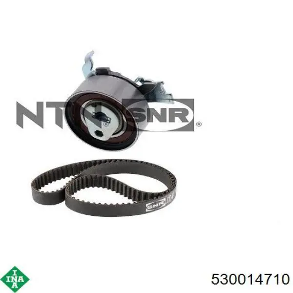 530014710 INA Kit correa de distribución