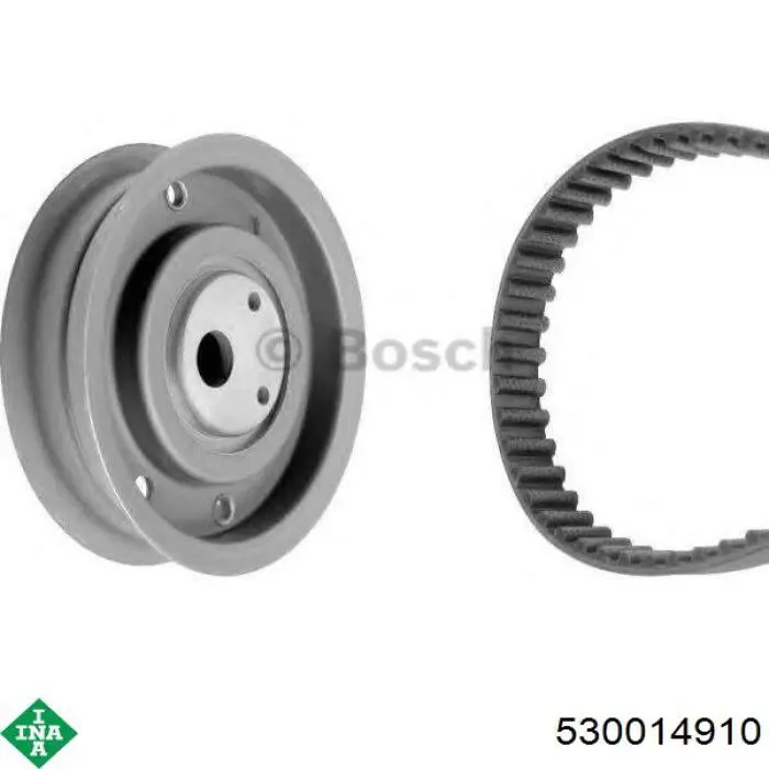Kit de distribución 530014910 INA
