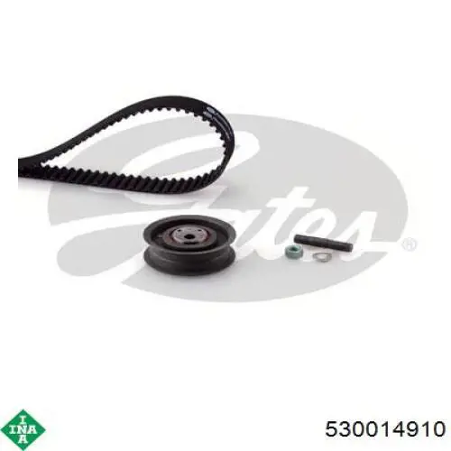 Comprar 530014910 INA Kit de correa de distribución