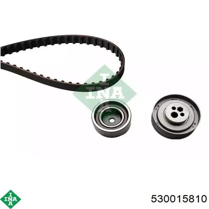 Comprar 530015810 INA Kit de correa de distribución