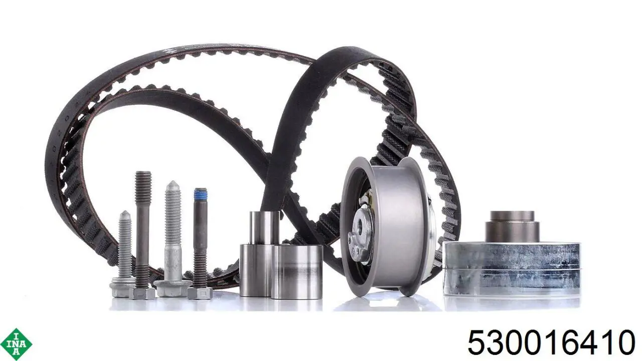 Kit distribución INA 530016410