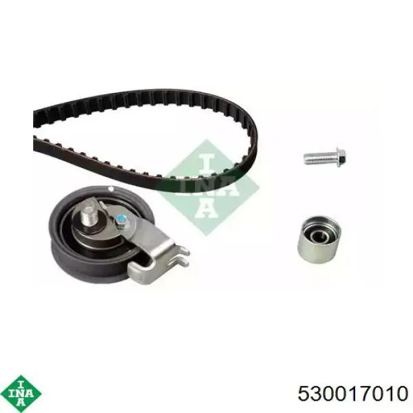 Comprar 530017010 INA Kit de correa de distribución