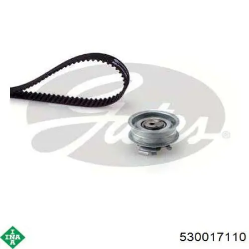 Kit de distribución 530017110 INA