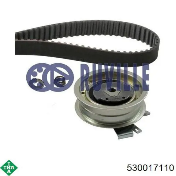 Kit distribución INA 530017110