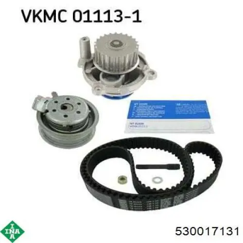 Kit de distribución 530017131 INA
