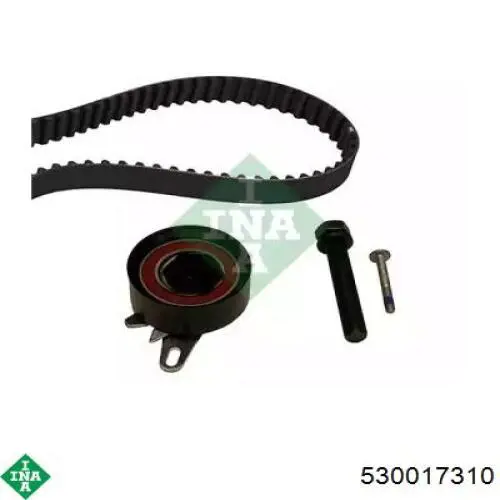 Juego de correas dentadas INA 530017310 precio, desde 144,71 EUR