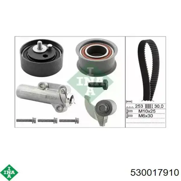 Kit de distribución 530017910 INA