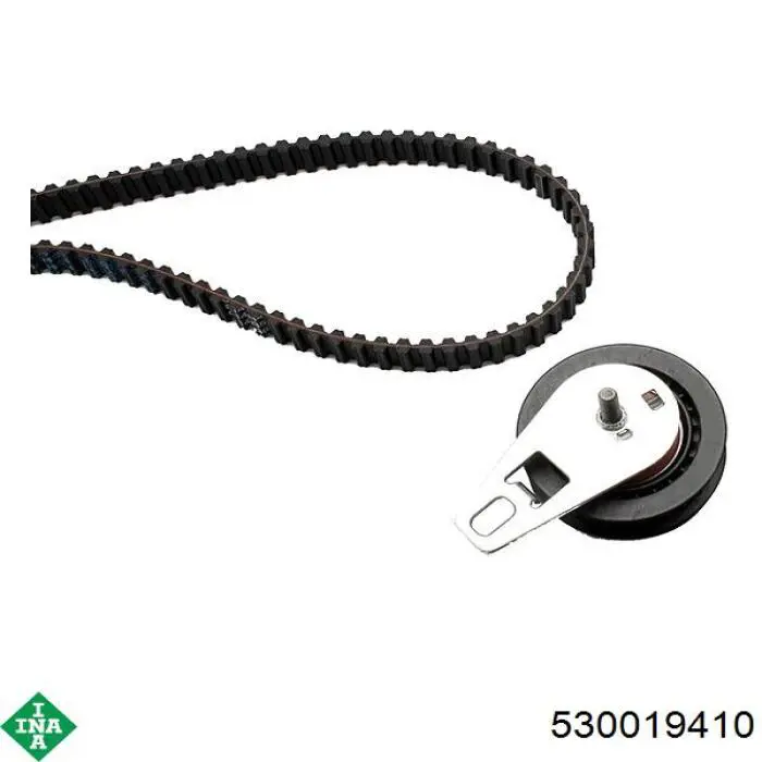 Kit distribución INA 530019410