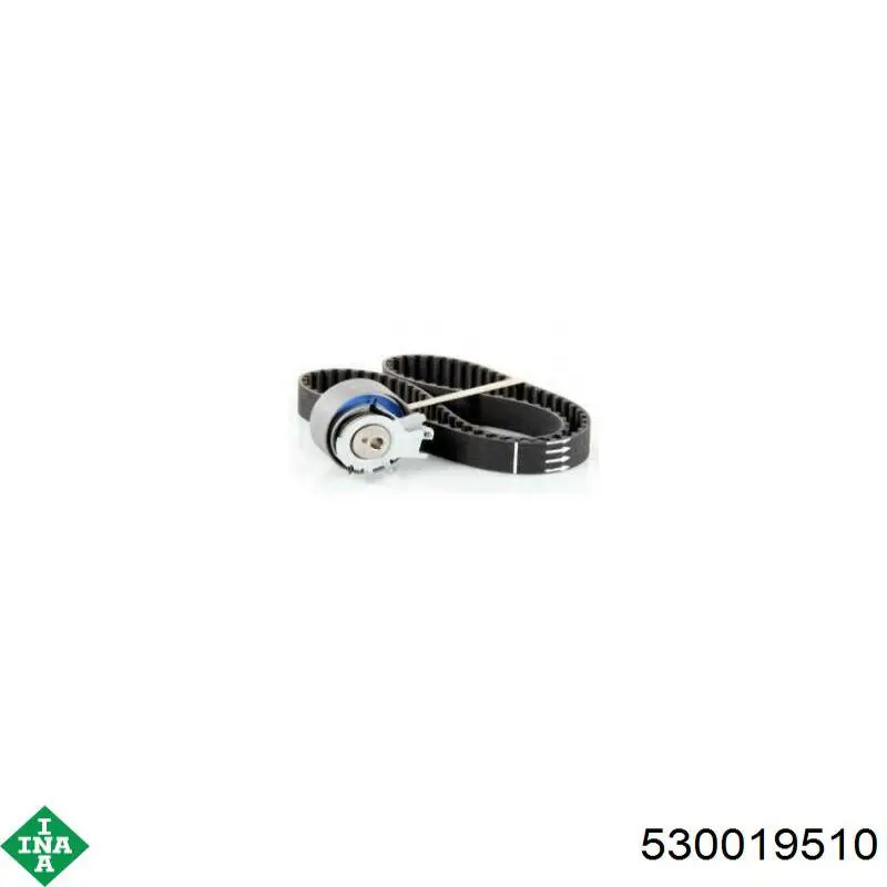 Kit distribución INA 530019510