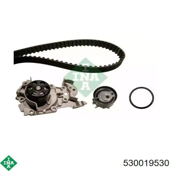 Kit de distribución 530019530 INA
